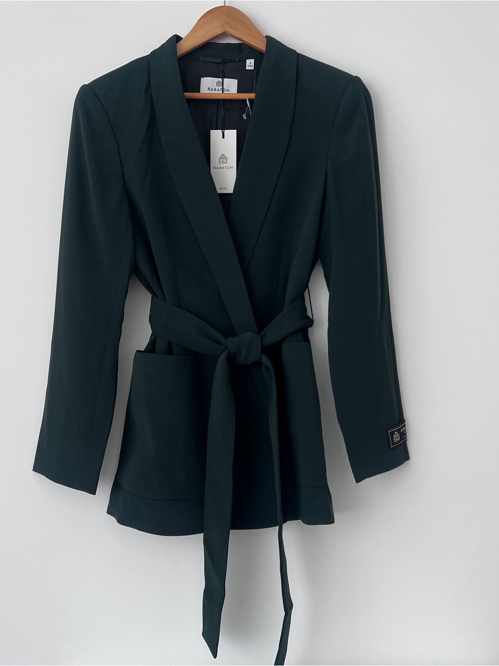 ARITZIA BABATON Executive Blazer - green - Picture 9 of 14